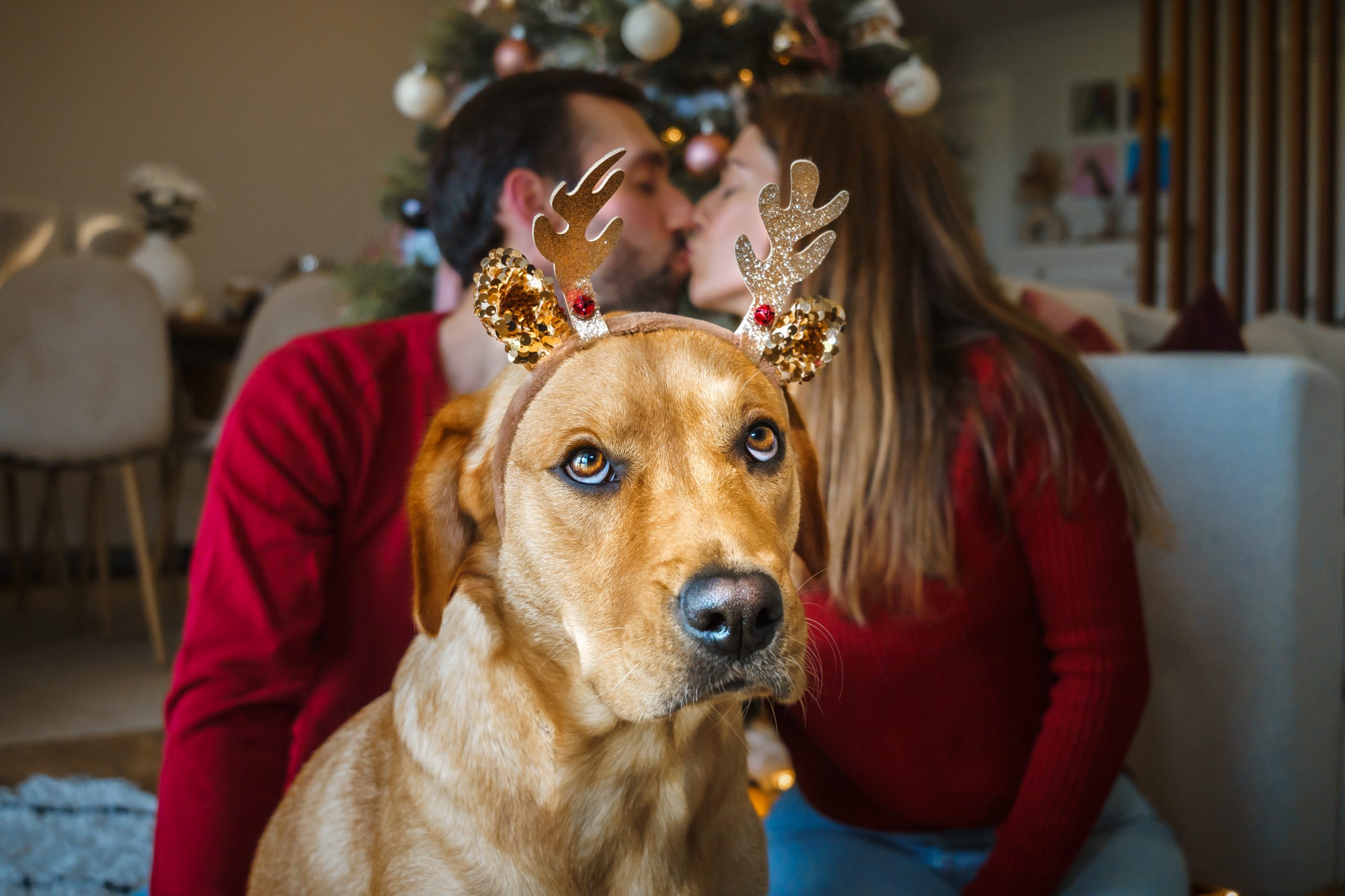 sessãonatal_Cat,João,Tequi_I00572