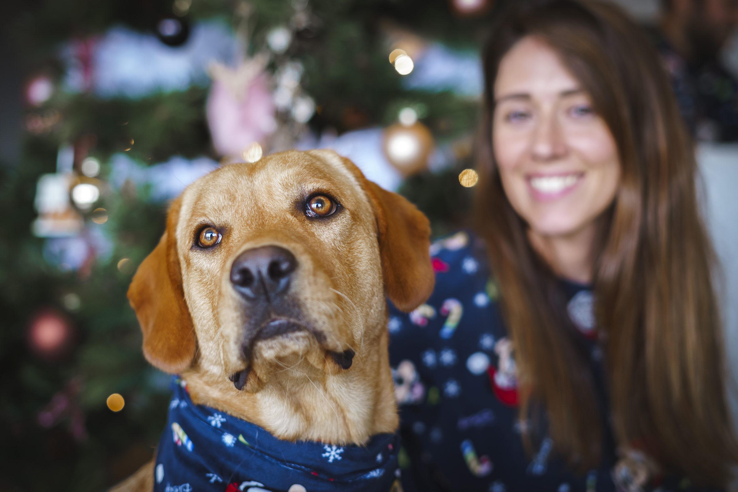 sessãonatal_Cat,João,Tequi_R_I00303